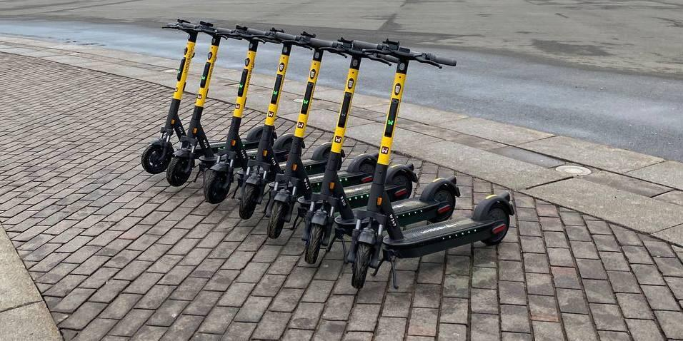 Фото взято из открытых источников