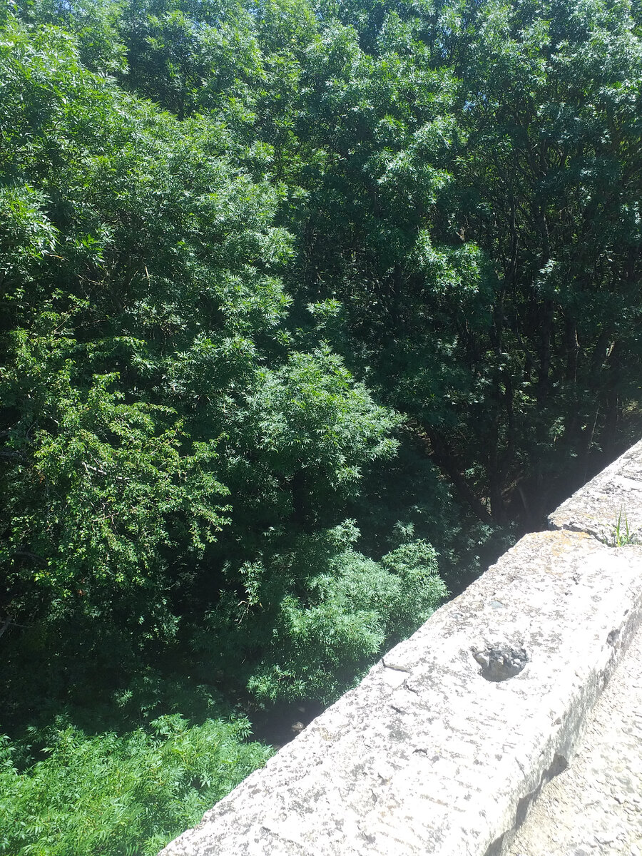 Вид с Немецкого моста