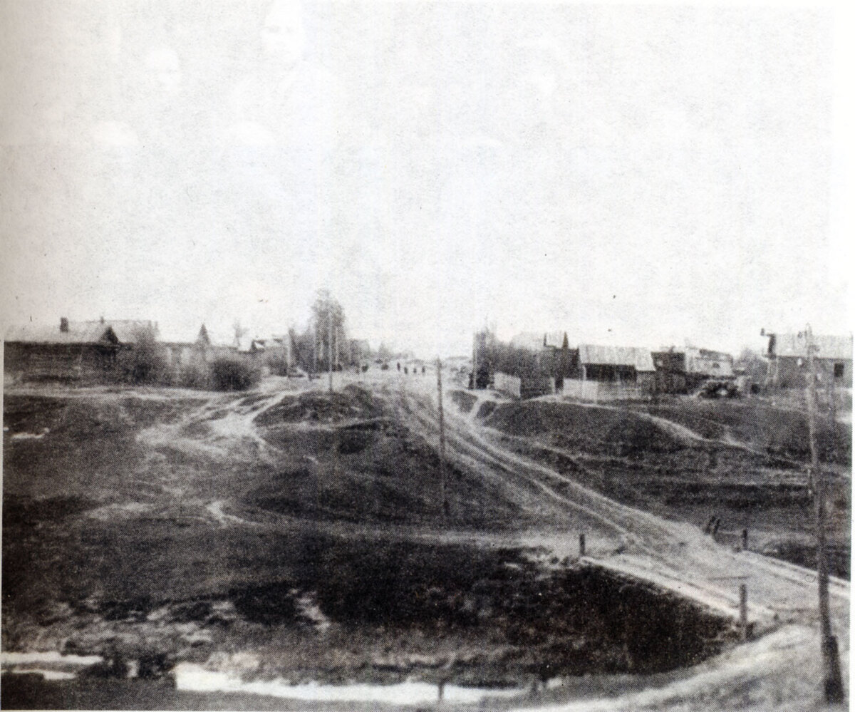 Вид на деревню Подушкино, 1950 год (фото: pastvu.com)