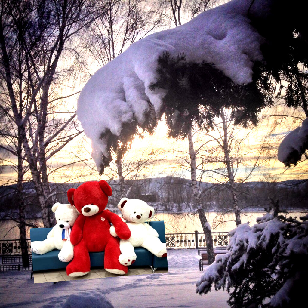 Фотографии из открытых источников 