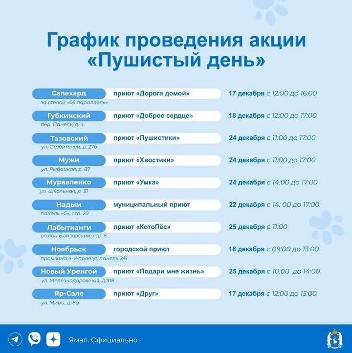     Фото: telegram Ямал Официально