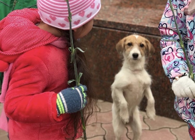 Нет ничего лучше дружбы!