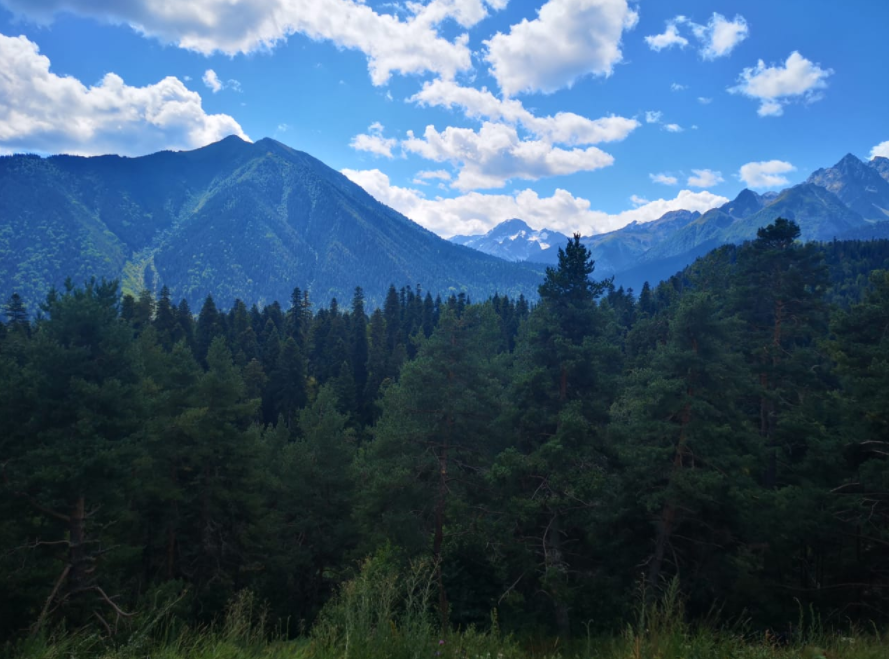 То же самое, но уже с балкона. Внизу речка, а по деревьям белки прыгают, если постоять подольше и присмотреться, то можно увидеть. Здесь они не ручные, не подходят к людям. Мы не видели, чтобы подходили :)