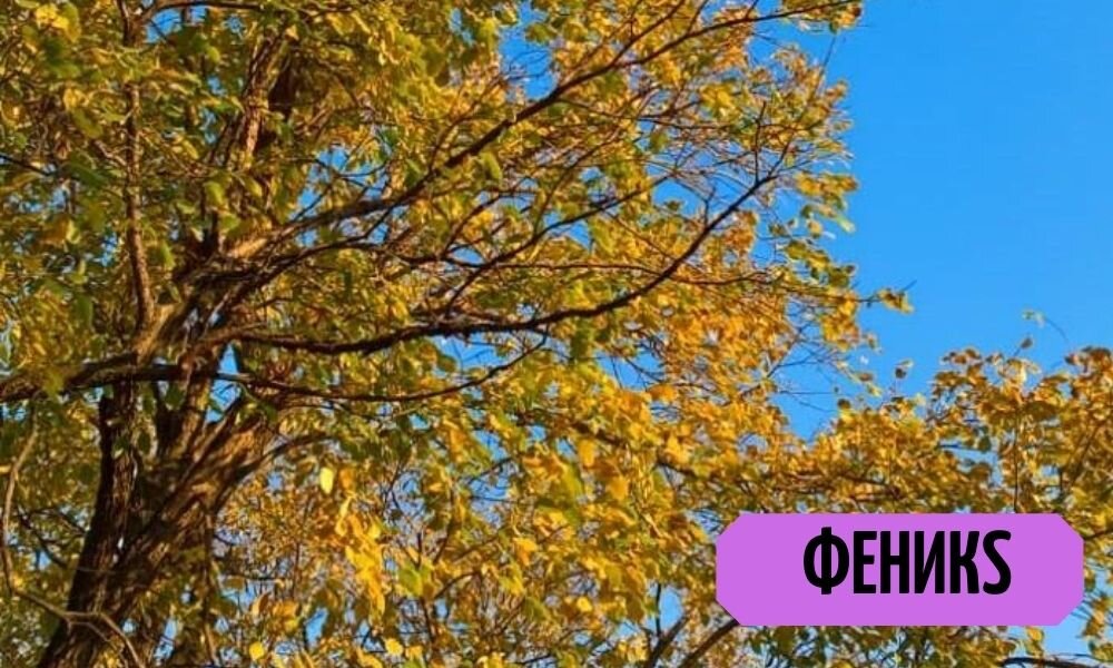 Фото автора))