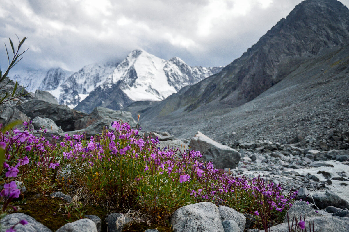 Гора "Белуха"