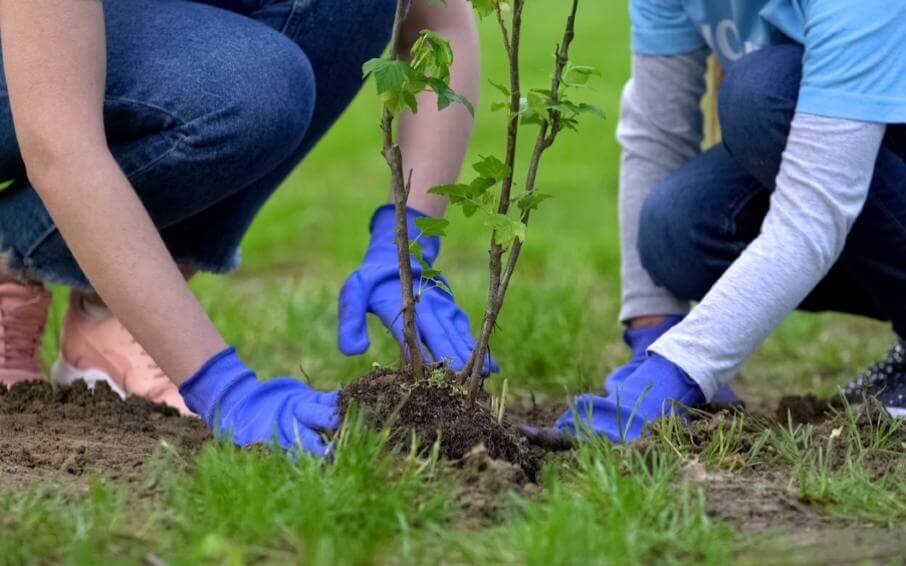 Фото: istock.com