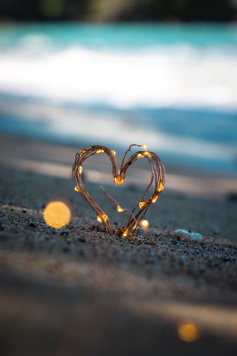 Photo by Steve Halama on unsplash.com 