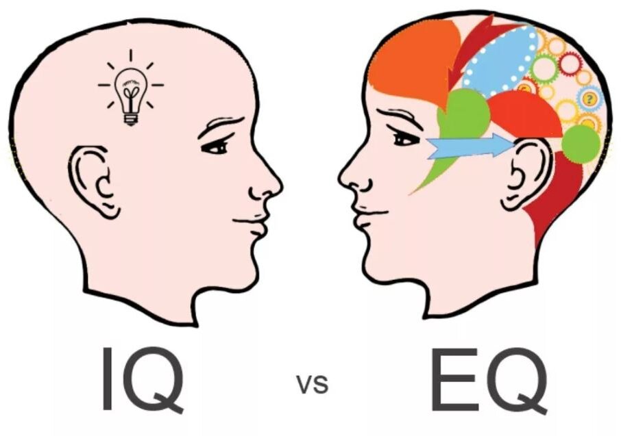 Сегодня при отборе кандидатов на работу когда то очень модный IQ уже не замеряют, зато очень интересуются уровнем EQ - эмоционального интеллекта.
