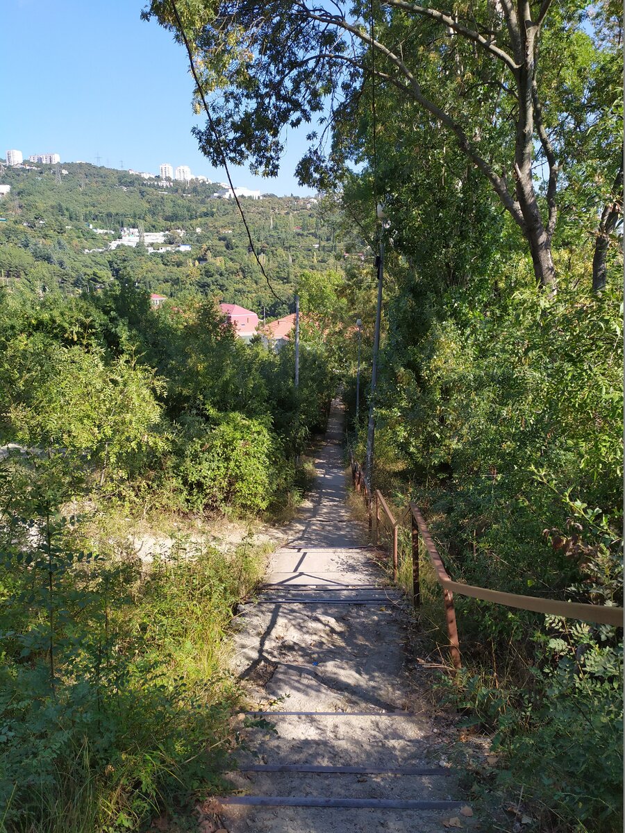 Крым. Ялта. Личное фото автора.