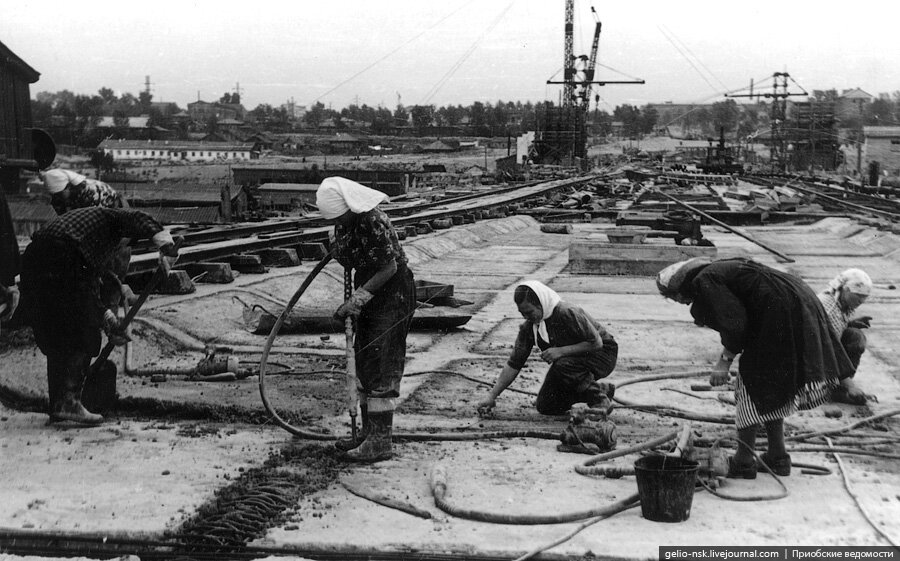 Фото с сайта: https://gelio.livejournal.com/130949.html