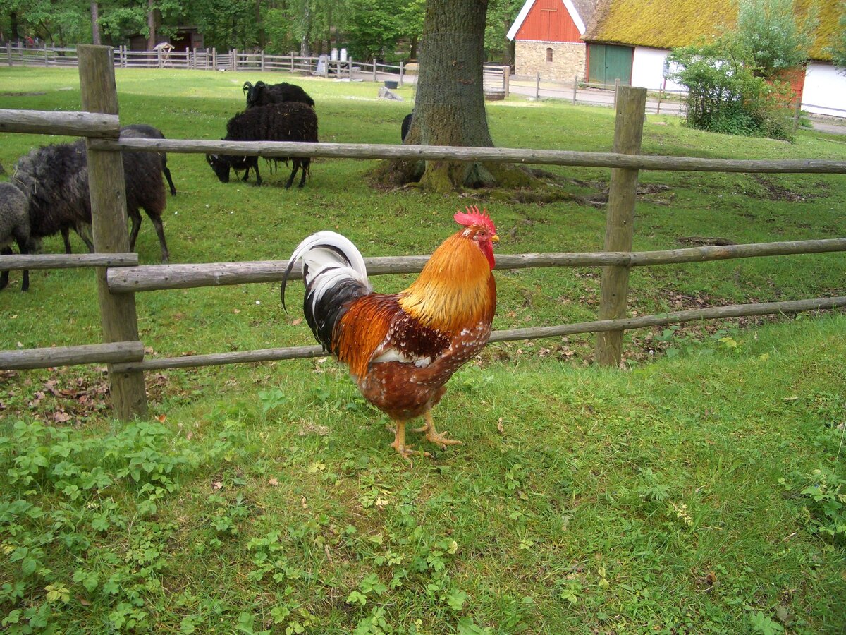 Пока нет возможности туда поехать - просто полюбуемся на фото