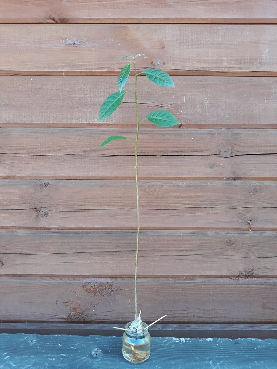 Фотография от 30 августа 2020г. 1 фото