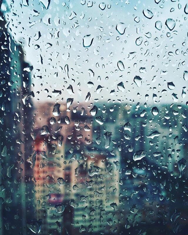 Фото из моего окна, Санкт-Петербург 