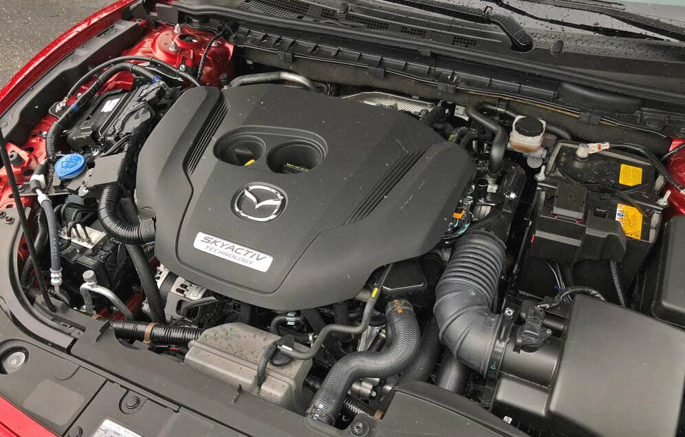 Фото взято из открытых источников