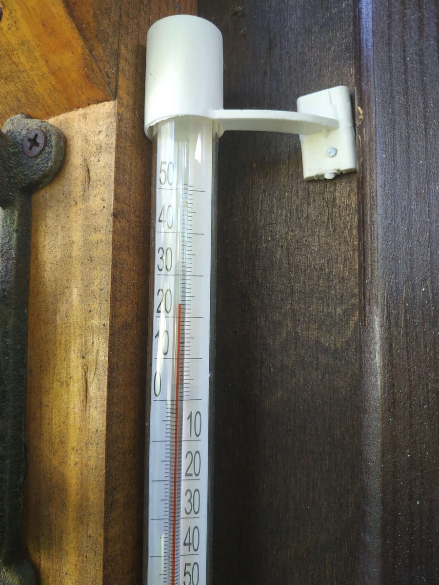 Плюс 23 градуса в тени.