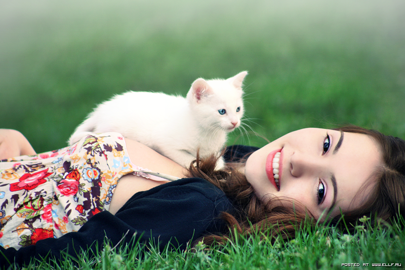 фото, свободно взятые в сети Интернет