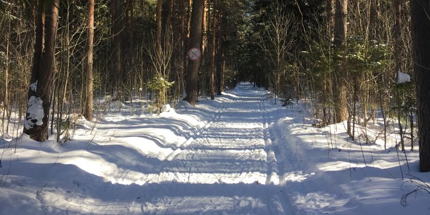 Фото: ИА "Нижний сейчас"