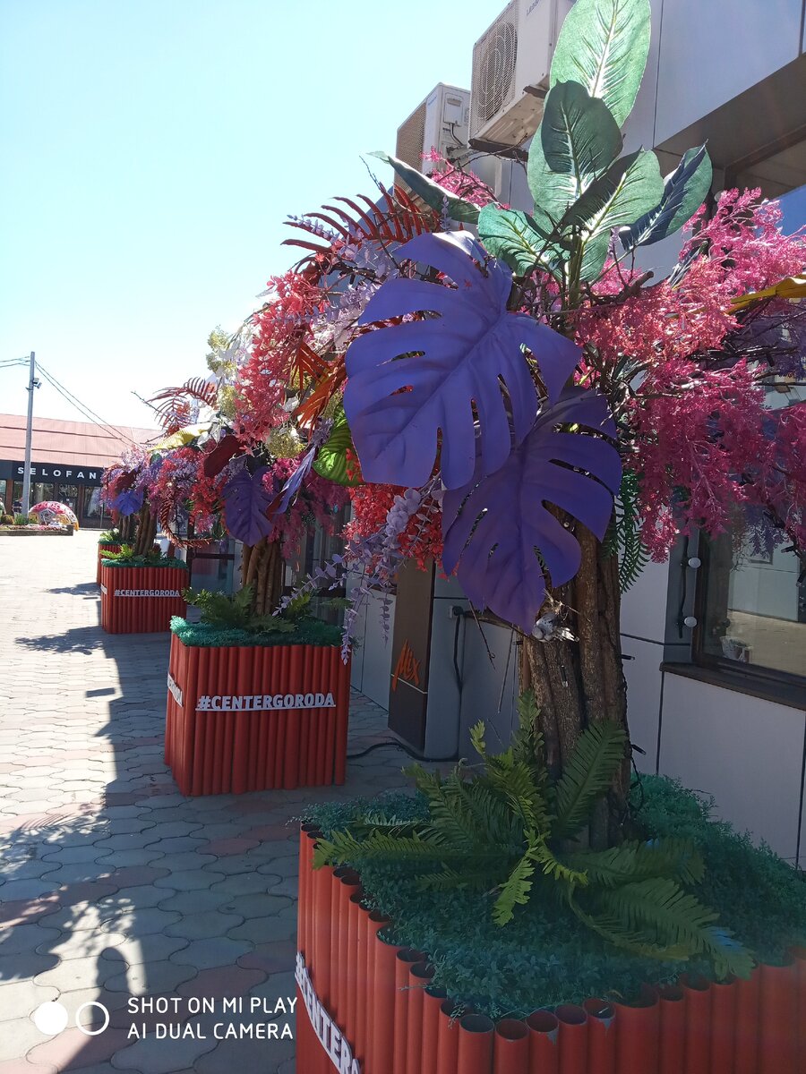 Любит собирать информацию которой не пользуется. 