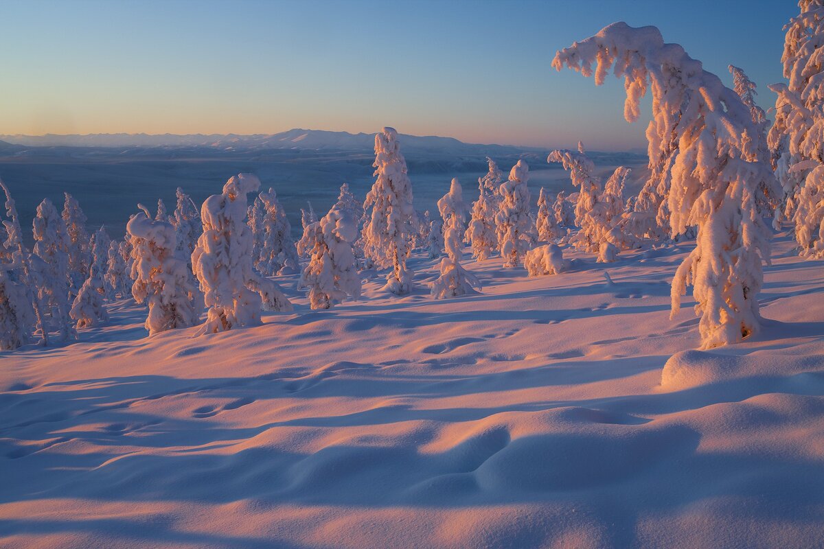 фото: https://i1.wallbox.ru
