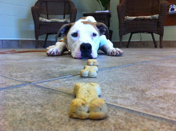 На этом пока все. Желаю успешных тренировок!