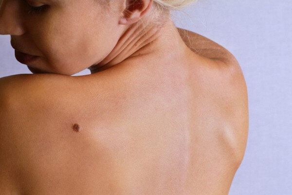 фото из свободных источников 