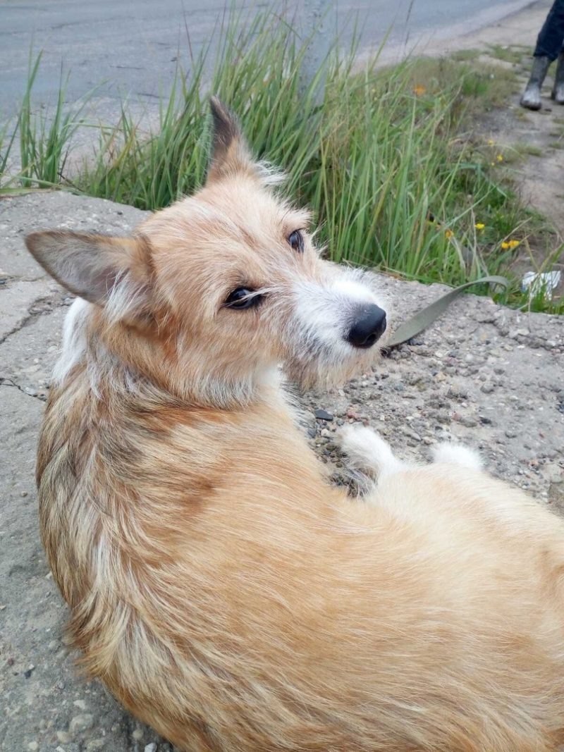 Фото Аллы Прасоловой