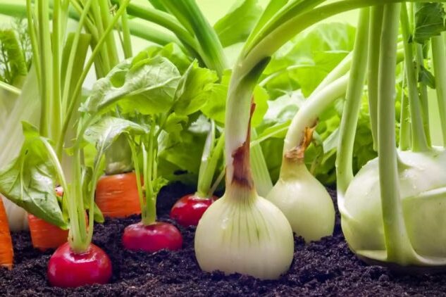 Источник: thespruce.com