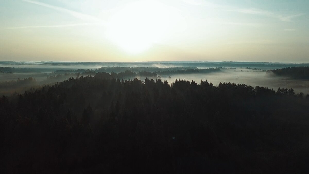 Фото. Хозяйство Воронова. Природа утром