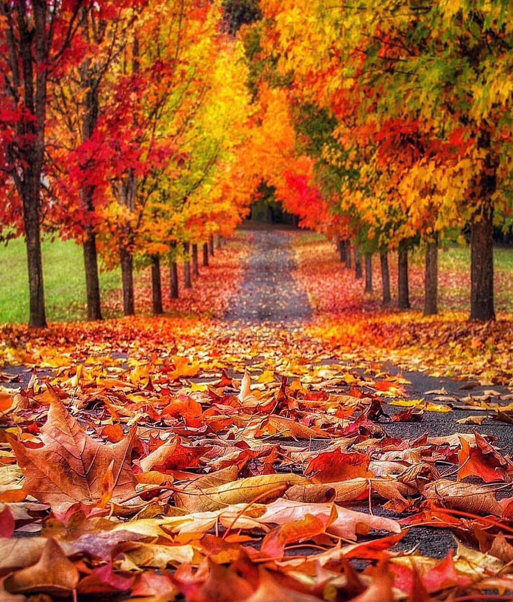 Картинка из интернета