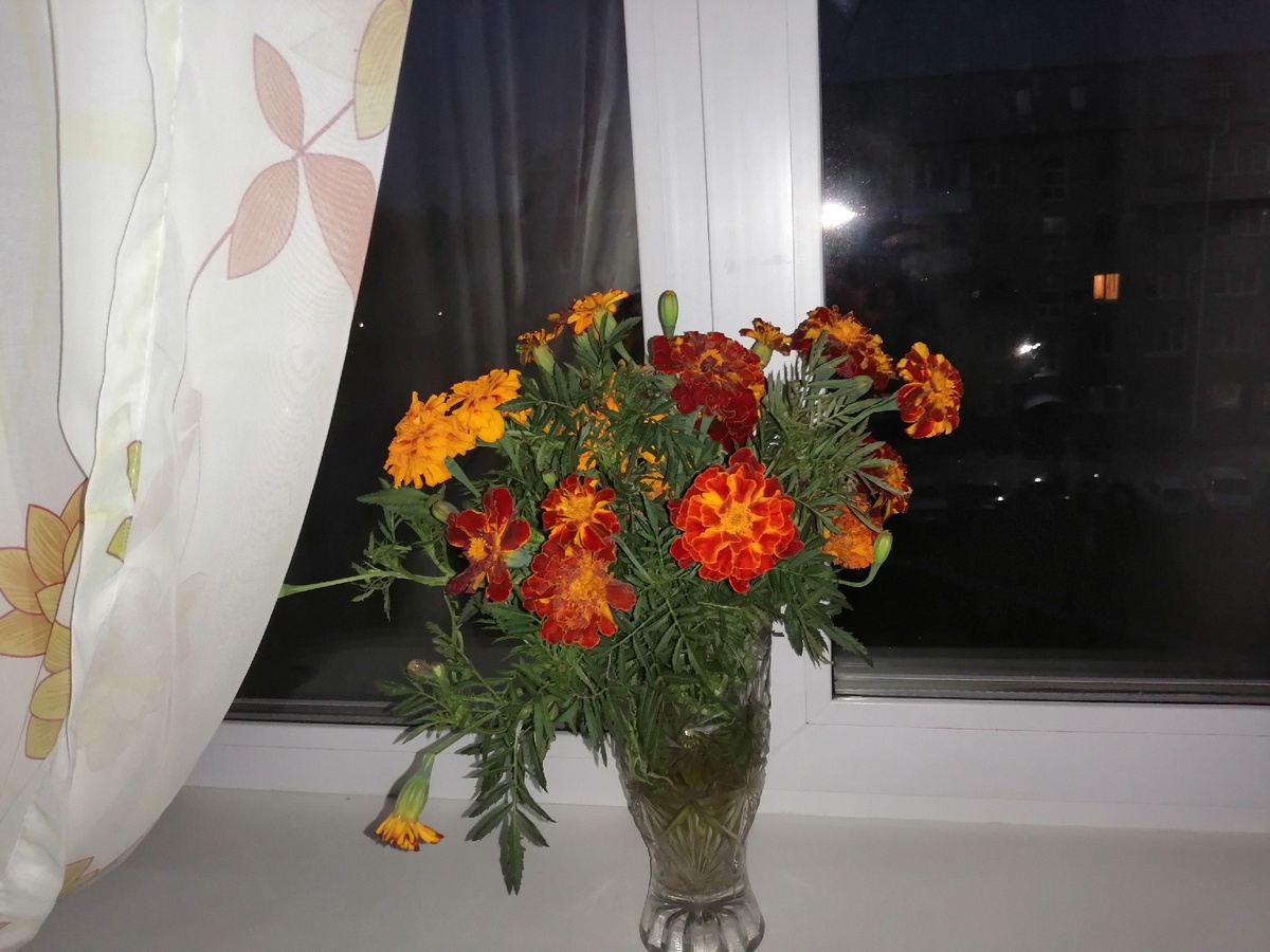 Дом, милый дом...