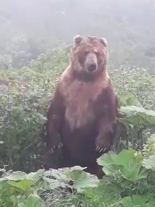 Мишаня друг.. ну не нервничай только..