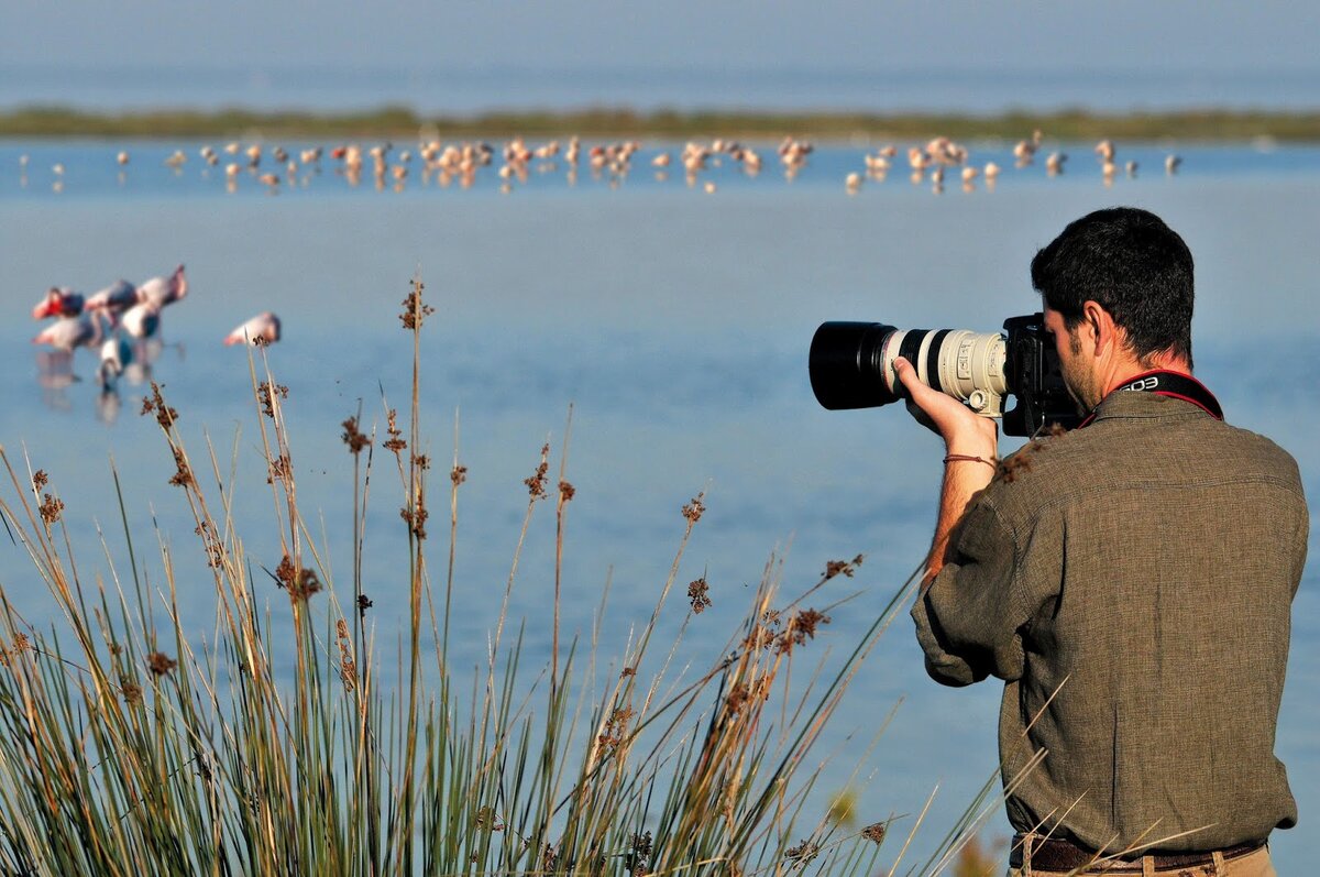 Примеры наблюдательных людей. Бердвотчинг. Наблюдение за птицами. Наблюдатель за птицами. Наблюдение за людьми с фотоаппаратом.