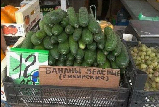 источник: kaifolog.ru