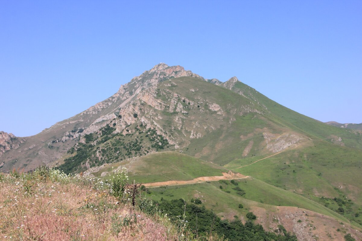 Гора Дизапайт