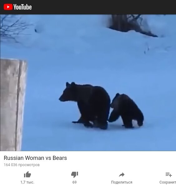 Название видосе