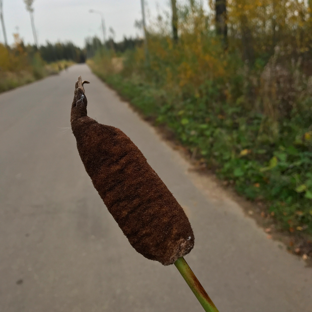 Фото из домашнего архива