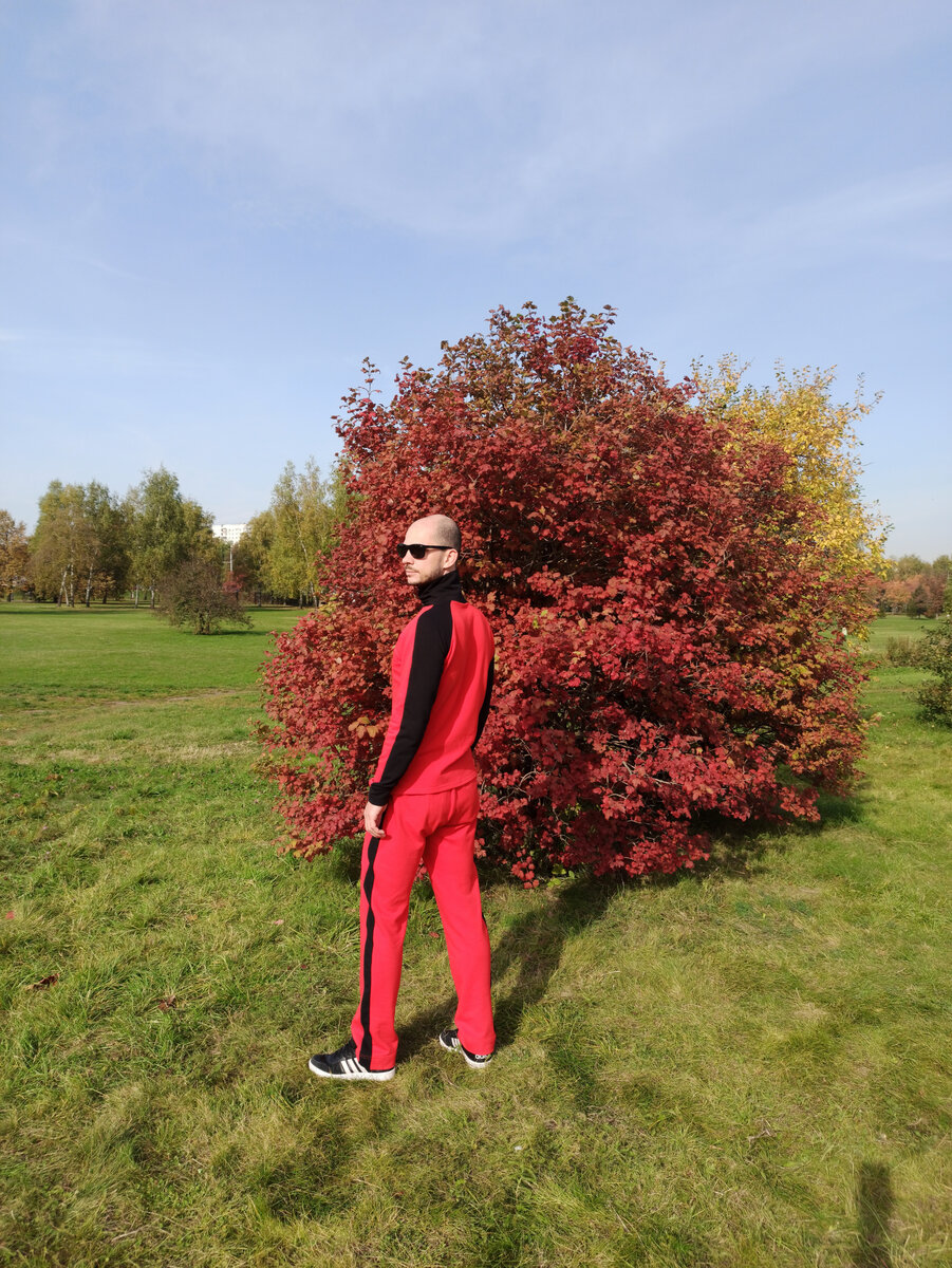 Фото сделано в прекрасном осеннем парке на телефон. Когда погода супер, это возможно - получить прекрасные снимки даже на телефон!