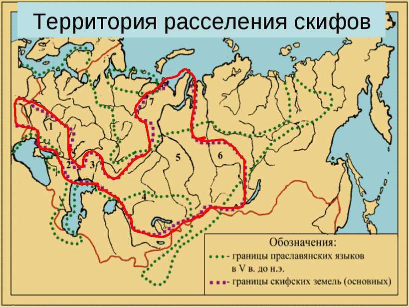 Каким государством торговали скифы пример ответа россия