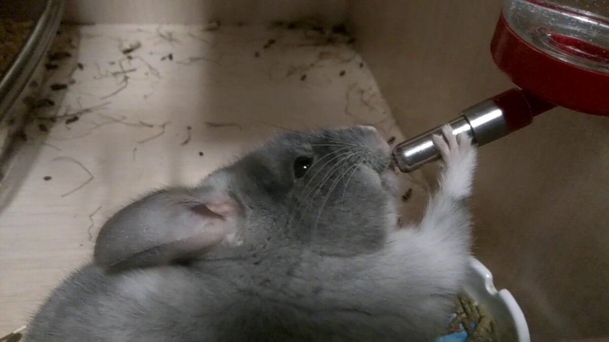 Фото: https://www.youtube.com/watch?v=rURAYyEyEBc&app=desktop