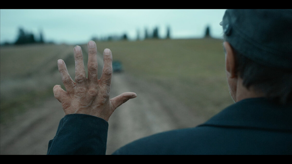 Источник фото: vokrug.tv