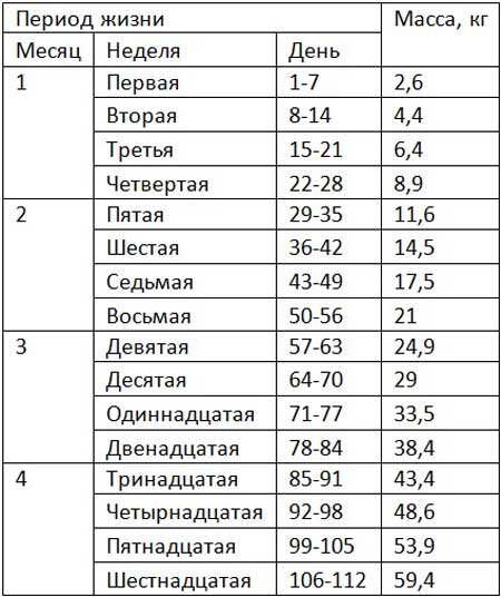 Примерный вес различных товаров