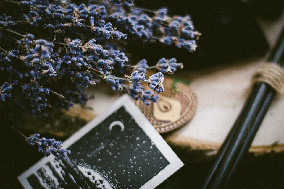 Фото: https://pixabay.com/