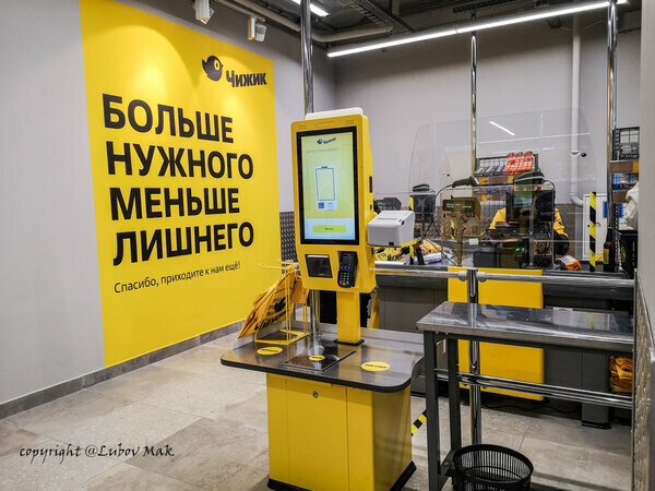 Чижик д литвиново 1 стр 1 фото