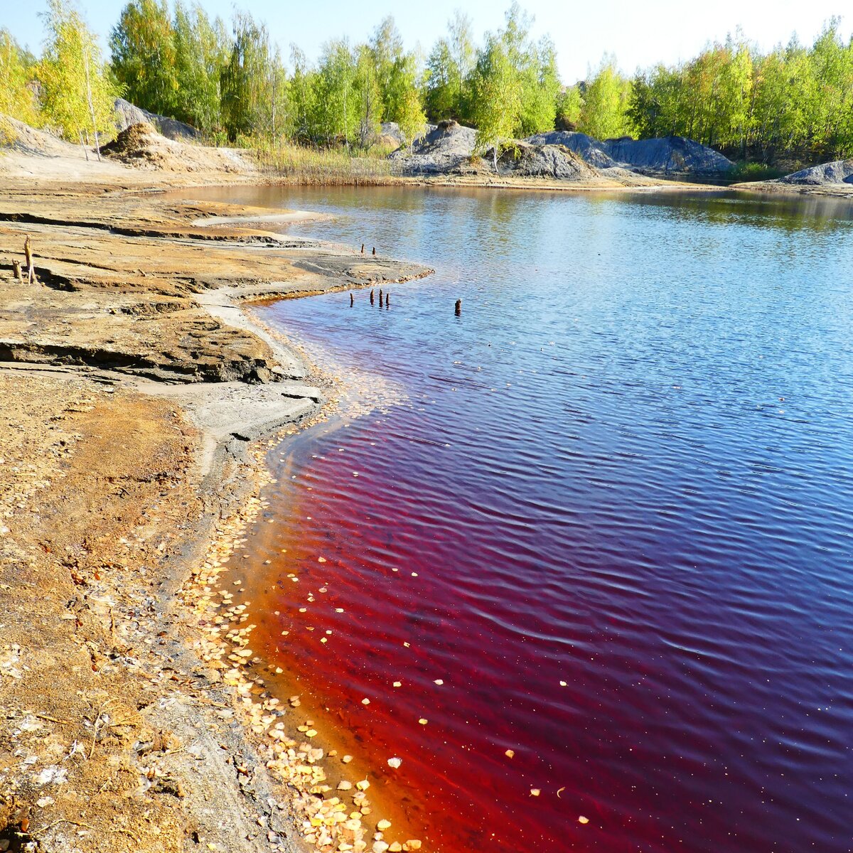 река красная все