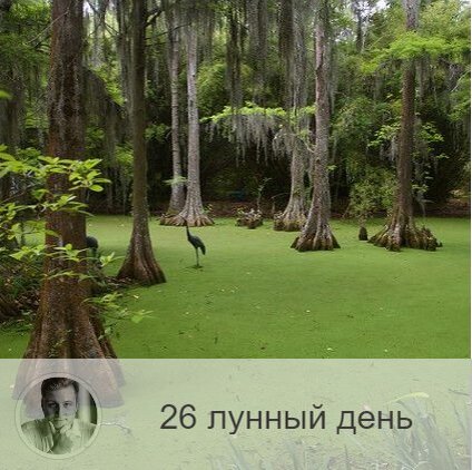 Подписывайтесь на наш канал, друзья!
26-ой лунный день с 01:44 11-ого по 03:15 12-ого. 🔆 Время, когда важно не обмануться.
🐸 Символа дня – жаба, болото.
🎂 Люди, рождённые в этот лунный день, должны победить в себе гордыню и высокомерие, тогда их ждет богатство и счастье.
💍 Камни - жадеит, нефрит.
🌚 26-ые лунные сутки энергетически связаны со смертью египетского фараона и неблагоприятны для активного продвижения каких-либо дел или проектов; символ суток — жаба. Это день отдыха. Сегодня не стоит быть чрезмерно активным, любое действие лучше свести к минимуму, а деньги поберечь, не тратить и не давать в долг. Пользу принесёт встреча с мудрым человеком, чтение книг.
✅ Рекомендуемые практики: воздержание, защита, отдых, пост.
Полезны массаж и баня, ибо через пот идёт сильное очищение. Сегодня есть опасность порчи и сглаза, эмоционального шантажа, нападения энергетического вампира.
❌Запрещено: пустые разговоры, новые начинания, удаление зубов.
Бессмысленно начинать дело, потому что все увязнет, как в болоте. Не берите сегодня кредиты, займы и не давайте в долг. Не нужно суетиться, проявлять тщеславие и гордыню.
⭕️Уязвимые органы: общее самочувствие.
С этим днём связан энергетический потенциал всего организма, здоровье сегодня уязвимо. Могут обостриться хронические заболевания, легко подцепить вирус. Тем, кто занимается спортом, рекомендуется сократить нагрузки или устроить выходной от тренировок. Сегодня велик риск получить травму.
⚠️ Знак:
Очень хорошо увидеть человека с полными сумками, это к удачи и деньгам. Недобрый знак: если над вами сегодня посмеются, то это значит, что у вас завышена самооценка.
💤 Если во сне вы увидели молнию, то вам рекомендуется обратить внимание на собственную гордыню. Если вы приснились себе довольным и успешным, наяву посмотрите трезво на себя и сделайте выводы по поводу собственной самооценки. Если же наоборот - увидели себя несчастным, то надо больше любить себя.

—————
⭐ Олег Персидский ⭐
Основатель крупнейшей онлайн школы но нумерологии ⇨ numeromagic.ru