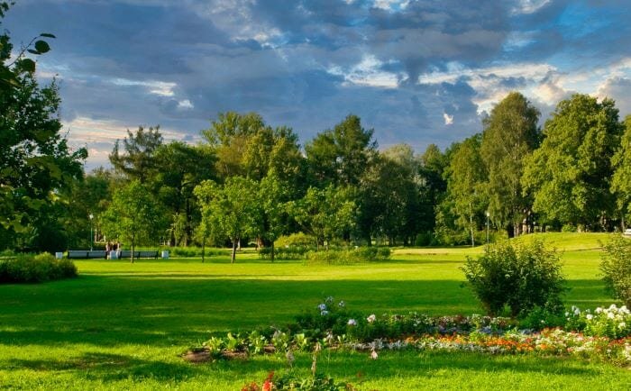 Green park санкт петербург. Парки СПБ для прогулок. Заневский парк Санкт-Петербург.