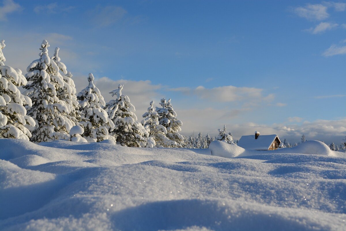 Фото: pixabay.com