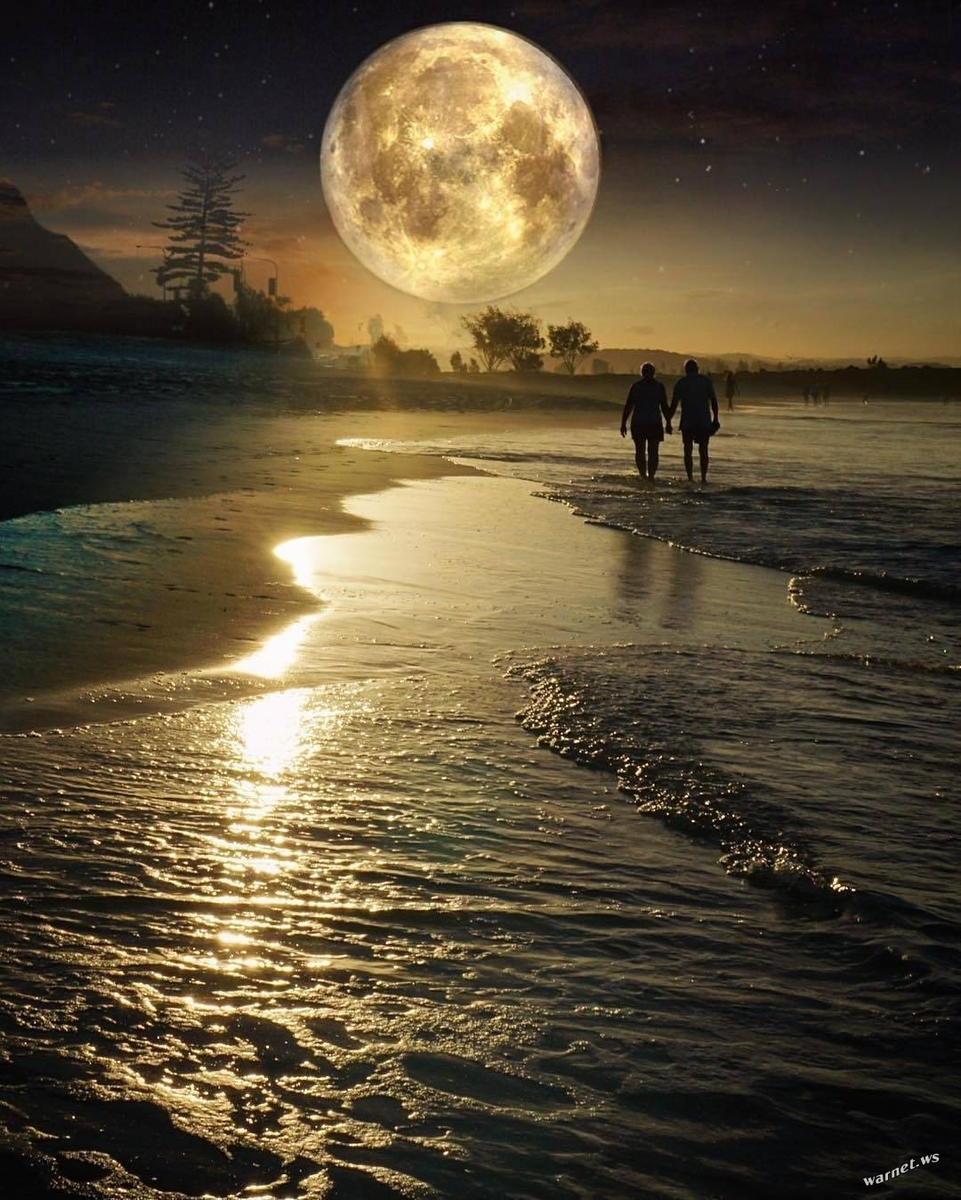 Красивой лунной ночи