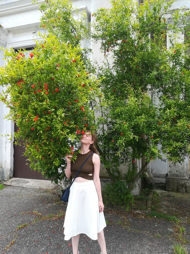 Впервые увидела как цветет гранат