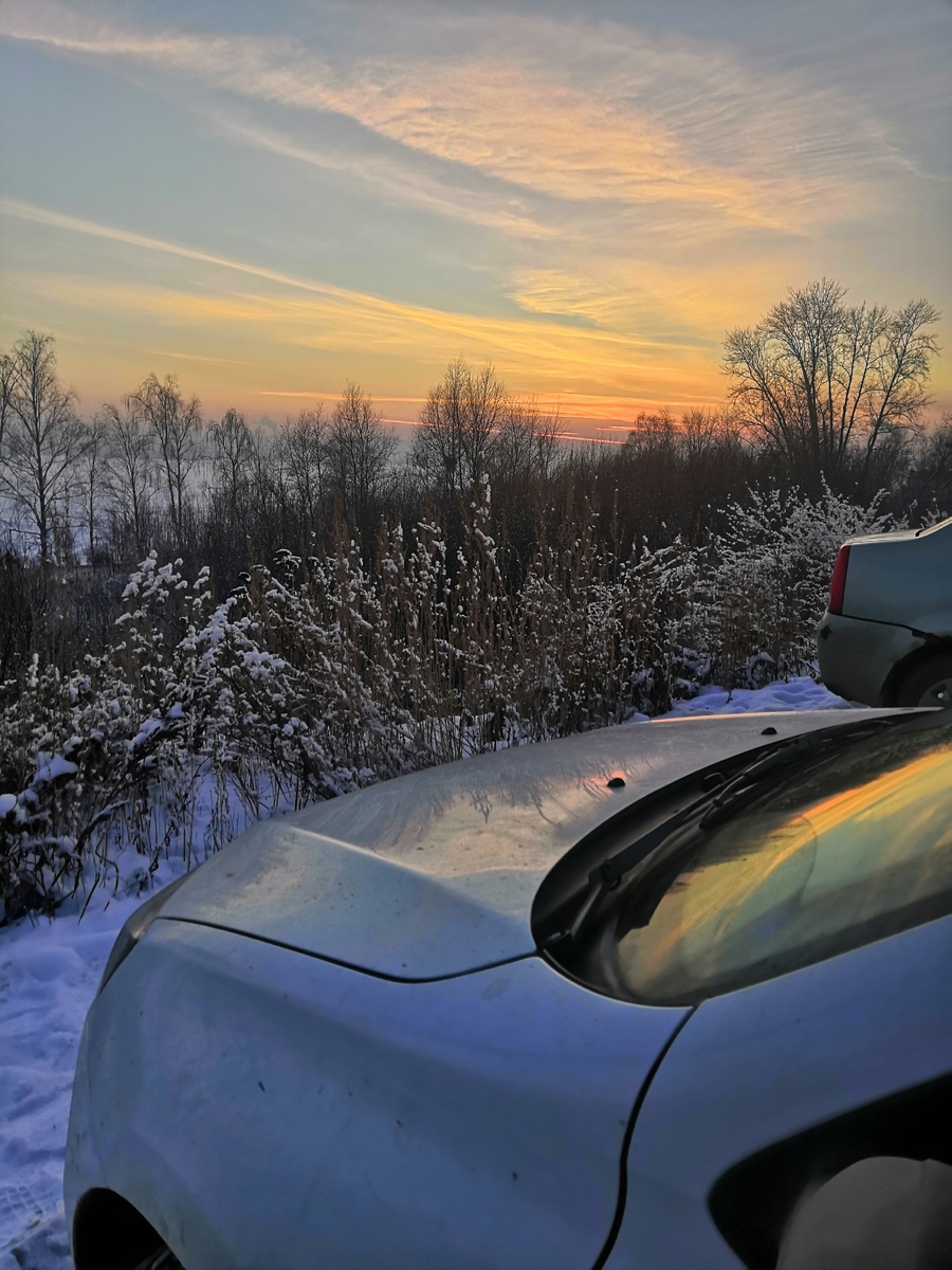 Моя рабочая лошадка 